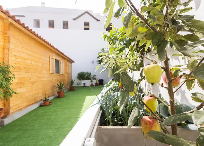 Live La Caleta Clavijo Garachico (Tenerife)